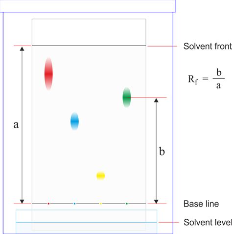 how to read chromatography|Iba pa.